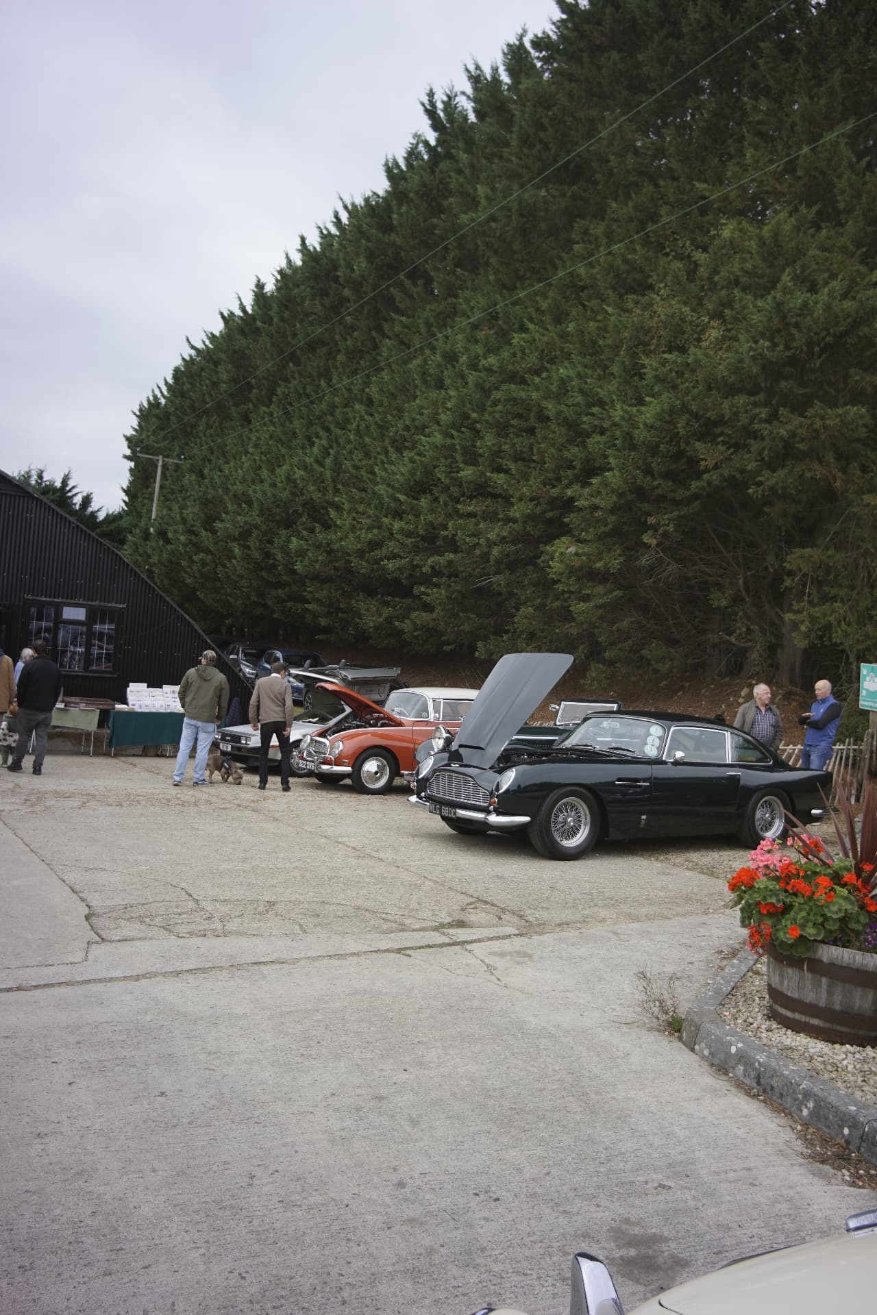 Classic Aston Martin and other cars with their bonnets raised in the courtyard